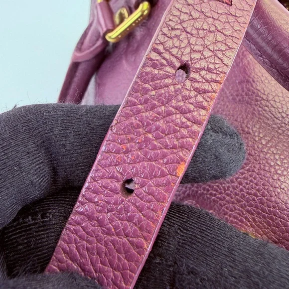 Louis Vuitton Plum Empreinte Speedy 25 Handbag Shoulder Bag - Picture 11 of 16